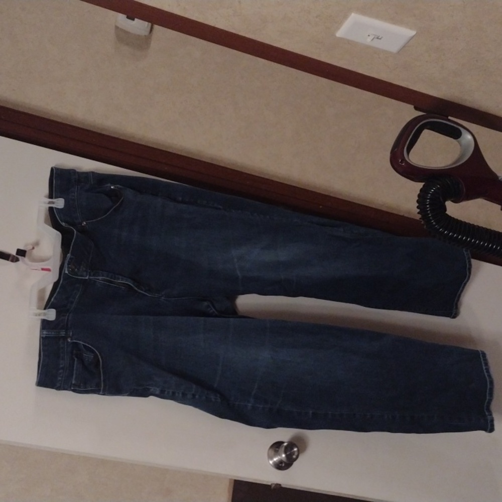 Jean pants brand Lane Bryant denim